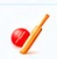 Cricket game icon